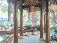 -绳金塔