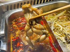 美蛙鸳鸯锅-重庆高老九火锅(文峰广场店)