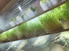 -串一火锅(赛格国际购物中心店)