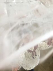 点击看大图 -iplus爱家高端孕妇摄影