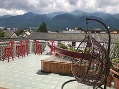 -喵屿·大理花园猫咖