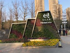 -重庆市江北嘴中央商务区中央公园