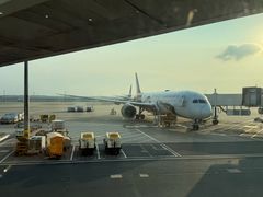 -上海浦东国际机场-T2航站楼