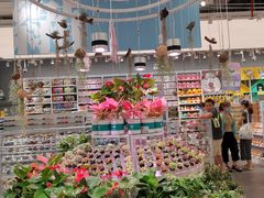 -KKV(深圳kk one 店)