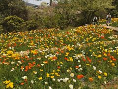 -名花谷生态庄园