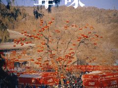 -八大处公园