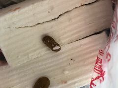 -芝兰斋糕干店(平山道店)