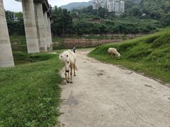 -美心红酒小镇游乐园
