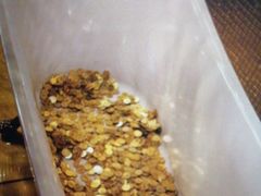 -不可思议减压馆·解压博物馆·摔碗发泄·团建定制
