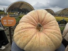 -中国天府农业博览园