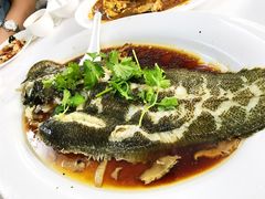 -新陶陶酒家