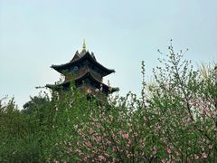 -迎泽公园