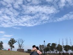 -春花秋色城市公园