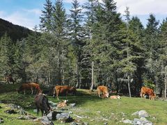 -硗碛藏寨·神木垒景区