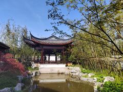 -上海滨江森林公园