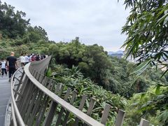 -福道