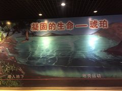 -上海昆虫博物馆