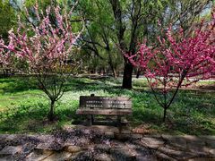 -北京麋鹿生态实验中心