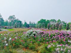 -尚贤河湿地