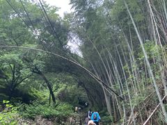 -会稽山峡洞漂流-上青古道