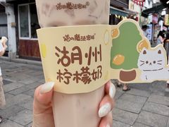 -猫的魔法密林(衣裳街店)