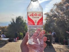 -梧桐山风景名胜区