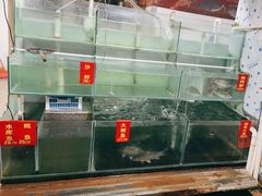 水产区-洞密园美食城·二十二年老店(富华路店)