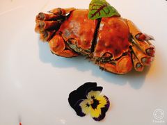 -运·中餐厅(成都华尔道夫酒店)