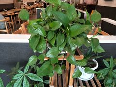 -李先生牛肉面大王(莱芜信誉楼店)