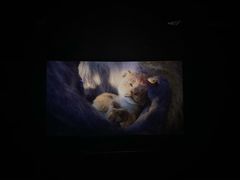 -大光明丽星VIP影城(昌里路杜比全景声店)