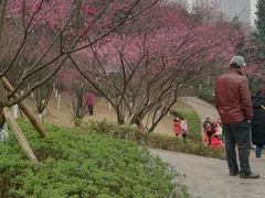 -重庆彩云湖湿地公园