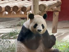 -杭州野生动物世界