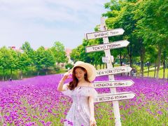 -大塘金香草谷