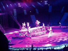 -珠海横琴长隆《卡卡虎奇遇记》