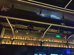 -MARU玛露音乐餐厅(大学路店)