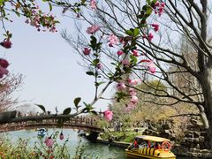 -苏州上方山国家森林公园