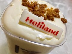 -大麦嘉动物奶油生日蛋糕(军分区新建北路店)