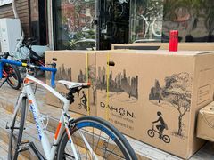 -道路口单车爱瓦士dahon大行