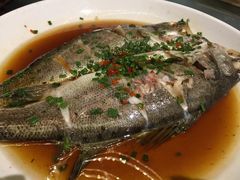 -青叶202都市餐厅(迪诺水镇店)