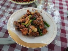 -陶缘一号·四季缘·老字号顺德菜·户外婚礼家宴(西滘店)