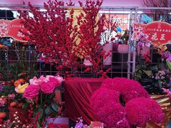 -越秀西湖花市(广州城市广场花卉店)
