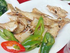 -蛇口康乐快餐鱼仔档(翠苑小区店)