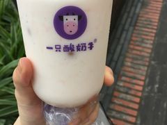 -一只酸奶牛(奎星楼店)