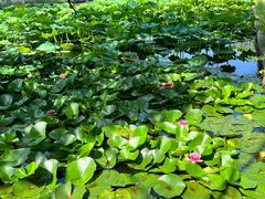 -北京小汤山医院体检中心