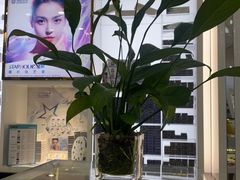 -宝岛眼镜(福州宝龙二店)