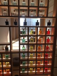 -彩虹之门健康管理