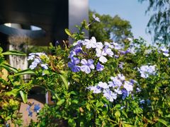 -艾溪湖湿地公园