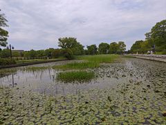 -苏州太湖国家湿地公园