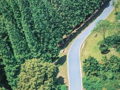-宜兴龙背山森林公园