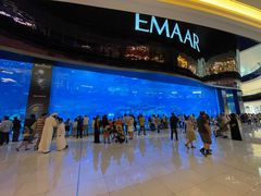 -迪拜水族馆及水下动物园